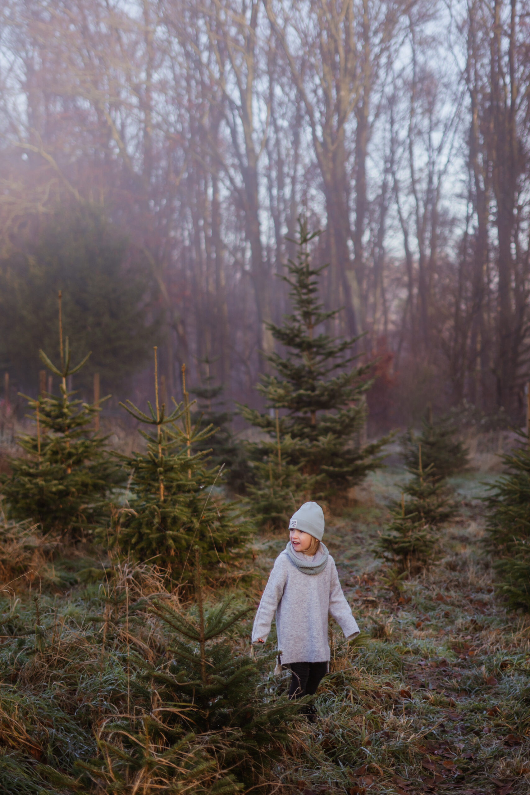Ein Kind steht auf der Tannenbaumplantage im Nebel bei einem natürlichen Familienshooting in Main Spessart bei der Fotografin Mirjam Scherg