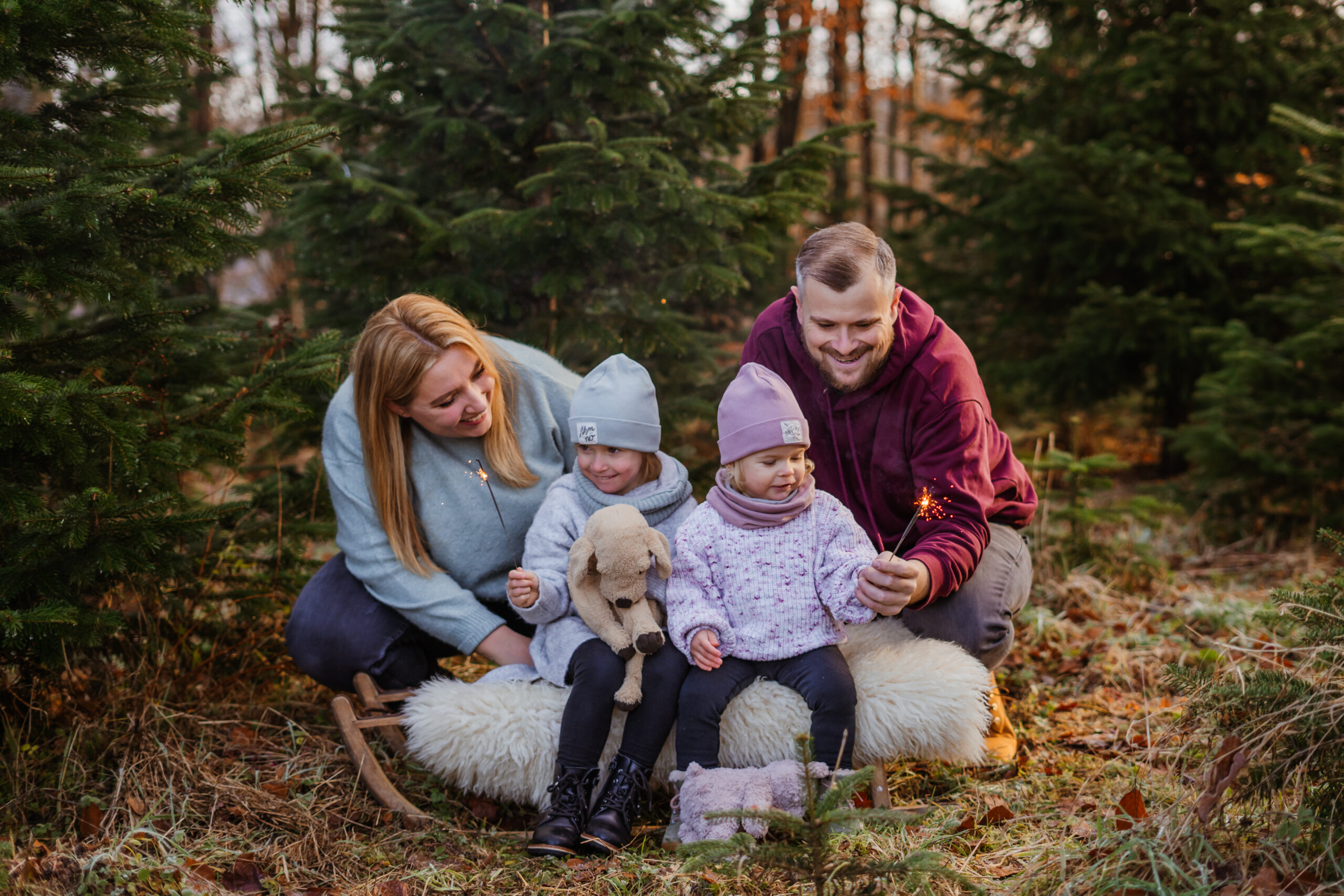 Familie mit zwei Kindern zünden Wunderkerzen bei einem weihnachtlichen Familienshooting auf einer Tannenbaumplantage in Main Spessart