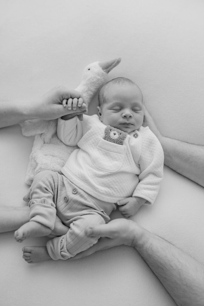 Neugeborenes Baby schläft friedlich bei einem natürlichen Babyshooting im Tageslichtstudio in Kreuzwertheim